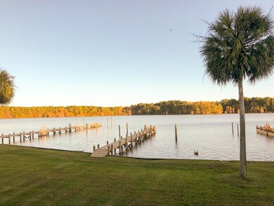 1055 Island Ct, Summerton, SC 29148 - photo 2