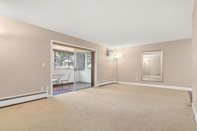 6301 York Ave S unit 102, Edina, MN 55435 - photo 5