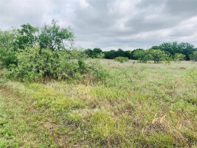 22128 Stanwood Dr, Whitney, TX 76692 - photo 3
