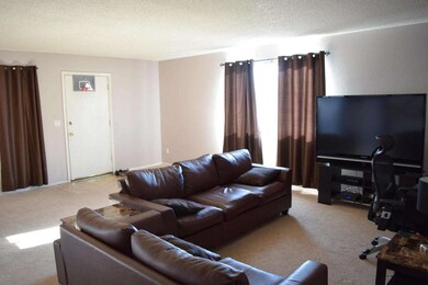 GIANT LIVING ROOM