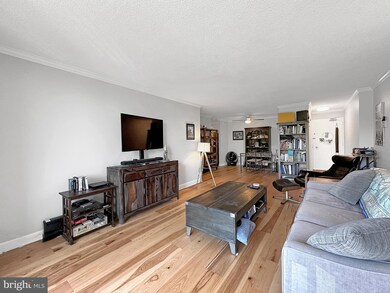 The Carlton unit 408, Arlington, VA 22204 - photo 7