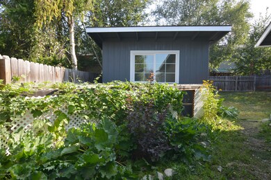 3_Side Yard2