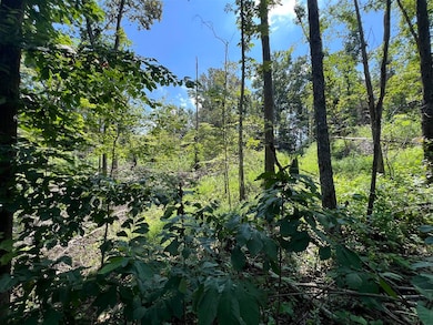 3688 E New Roe Rd, Adolphus, KY 42120 - photo 7