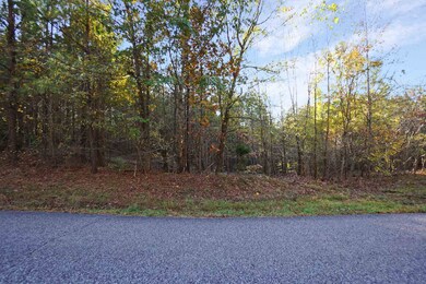 22 Cottrell Ridge Rd, Dover, TN 37058 - photo 3