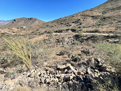 1770 Calle Pescador unit 1, Rio Rico, AZ 85648 - photo 2