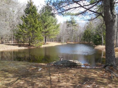 1056 White Mountain Hwy, Milton, NH 03851 - photo 5