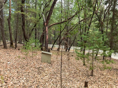 614 Thornbrook Dr, Merlin, OR 97532 - photo 6