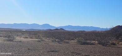 TBD 40 Acres Tyree Rd unit 118, Pearce, AZ 85625 - photo 7