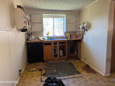 4041 Rocky Branch Rd, Walland, TN 37886 - photo 6