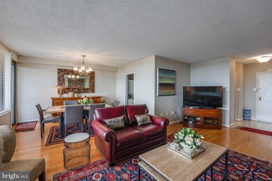 Skyline Plaza unit 809S, Baileys Crossroads, VA 22041 - photo 4