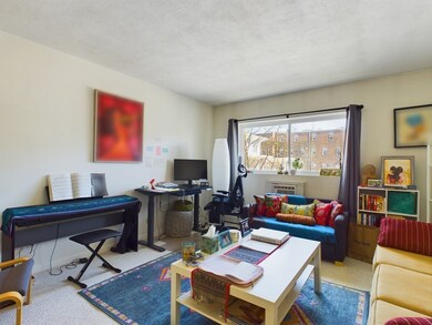 18 Glencoe St unit 36, Brighton, MA 02135 - photo 3