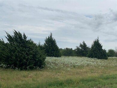 SW Interstate 45, Ennis, TX 75119 - photo 2