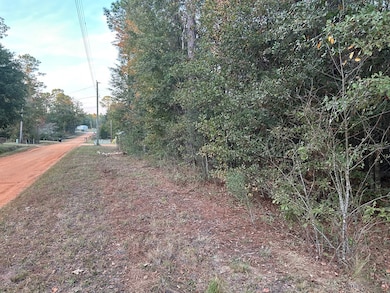 16,17,18 Paradise Cir, Donalsonville, GA 39845 - photo 5