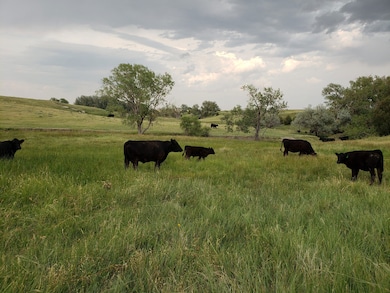 17806 Co Rd 9 unit Flagler CO, Flagler, CO 80815 - photo 4