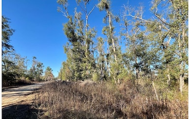 LOT46 NE Blue Springs Church Rd, Lee, FL 32059 - photo 2