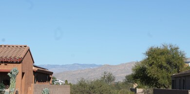 Looking North