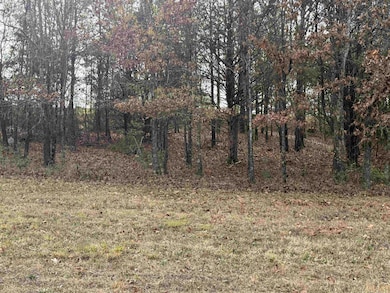 Tract 43 Rainbow Lake Rd, Austin, AR 72007 - photo 3