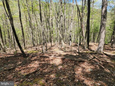 LOT 16-A Lost River Mountain Wits End, Mathias, WV 26812 - photo 6