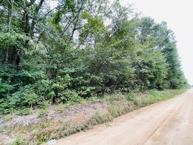 Tract 5 Harold Tyson Rd, Tifton, GA 31794 - photo 3