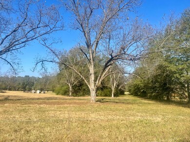 0 To Be Added unit 161030, Cordele, GA 31015 - photo 6