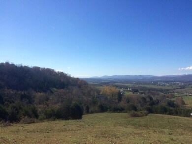 26 Ac. - Mountain View Rd unit 705, Lexington, VA 24450 - photo 5