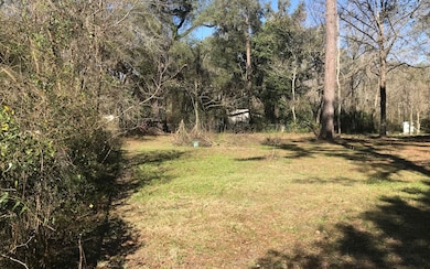 395 NW Bronco Terrace, Lake City, FL 32055 - photo 4