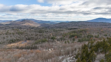 163 Quaker Path Rd, Wilmot, NH 03287 - photo 5