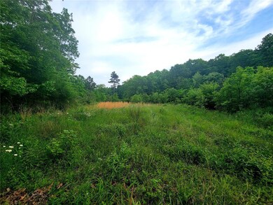 0 County Road 456, Beaver Dam Township, MO 63901 - photo 7