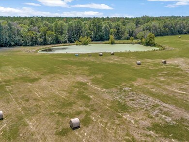 80803 Tract 28 Fm 233, Kennard, TX 75847 - photo 4