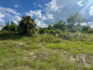 3913 14th St SW, Lehigh Acres, FL 33976 - photo 5