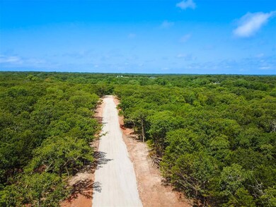 Bird's eye view of a forest