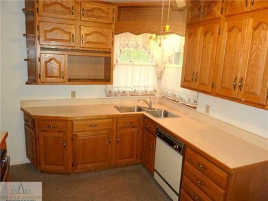 1105 Morris Ave, Lansing, MI 48917 - photo 6