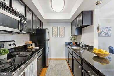 14901 Rydell Rd unit 303, Centreville, VA 20121 - photo 3