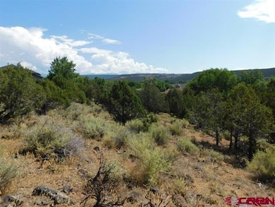 240 SE Flintlock Ct, Cedaredge, CO 81413 - photo 2