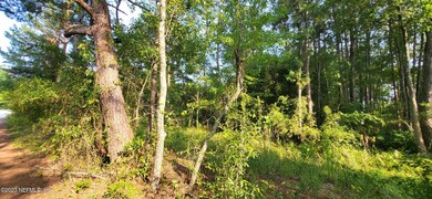 wooded 9