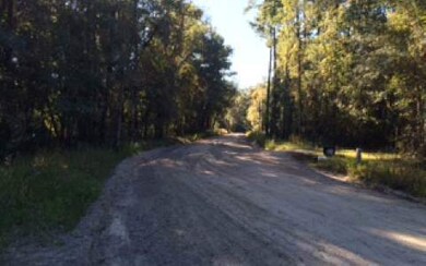 0 Rogers Rd unit 88999, Lake City, FL 32025 - photo 2