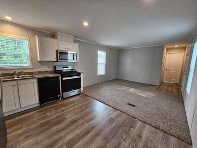 3660 S Lapeer Rd unit 127, Metamora, MI 48455 - photo 2