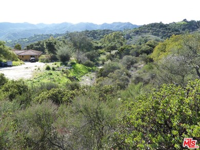 0 Luse Tank Rd unit 25618457, Topanga, CA 90290 - photo 5