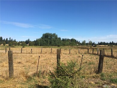 12841 Bald Hill Rd SE, Yelm, WA 98597 - photo 7