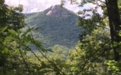 Additional View