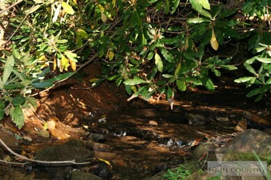 360 H Stanley Miller Rd, Deep Gap, NC 28618 - photo 4