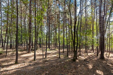 34202 Conroe Huffsmith Rd, Magnolia, TX 77354 - photo 5