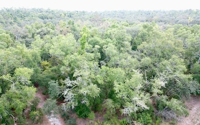 TBD Suw Park Lots 18-22, Live Oak, FL 32060 - photo 4