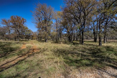 Lot 195 Grand Harbor Blvd, Chico, TX 76431 - photo 3