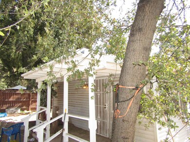 Back patio
