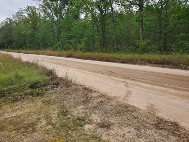 PAR B Peacock Trail, Baldwin, MI 49304 - photo 3
