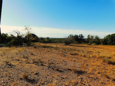 TBD County Road 131, Brownwood, TX 76801 - photo 5