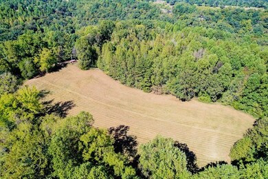 0 Bolestown Loop, Alpine, TN 38543 - photo 7