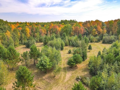 72281 Hennes Rd, Gordon, WI 54527 - photo 6