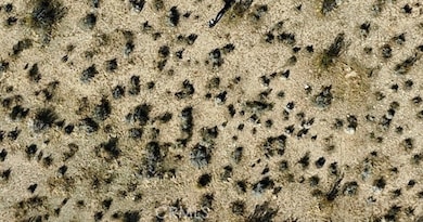 105 E Avenue M, Palmdale, CA 93591 - photo 4